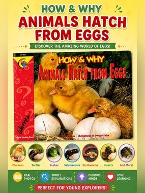How and Why Animals Hatch From Eggs by Elaine Pascoe, Illustrated by Dwight Kuhn